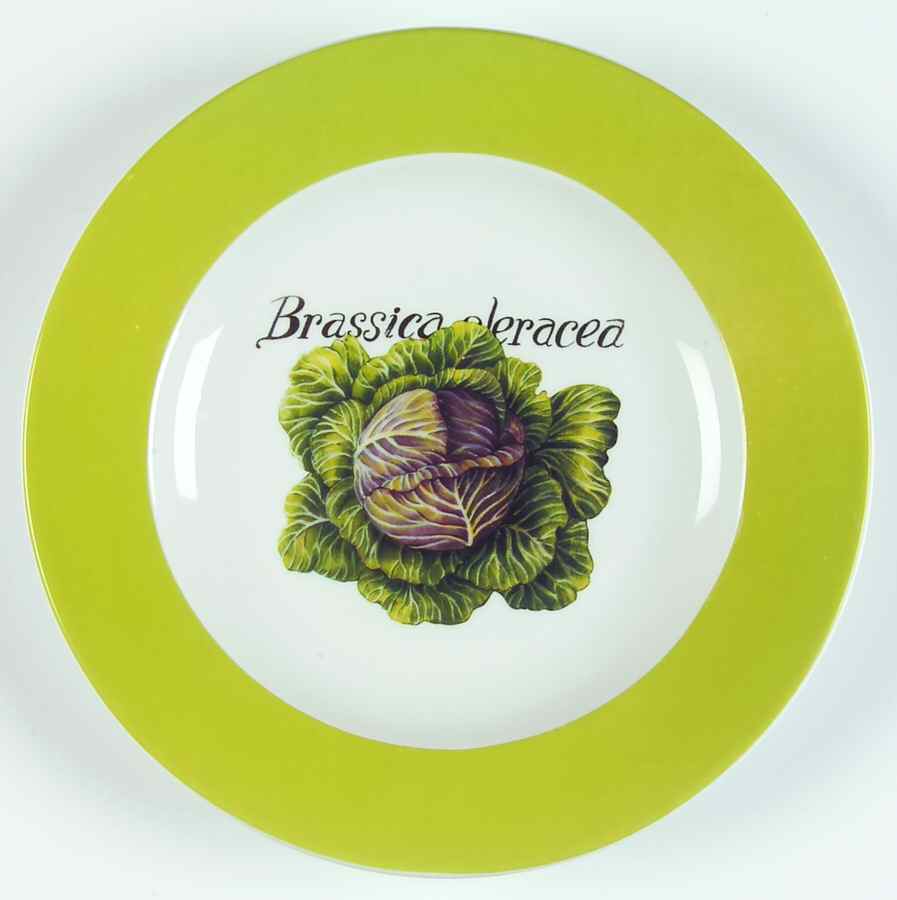 CP32 Salad Plate by Cypress Home-1