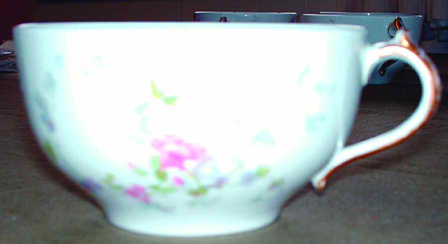 CHF1301 Flat Cup by Charles Field Haviland-1
