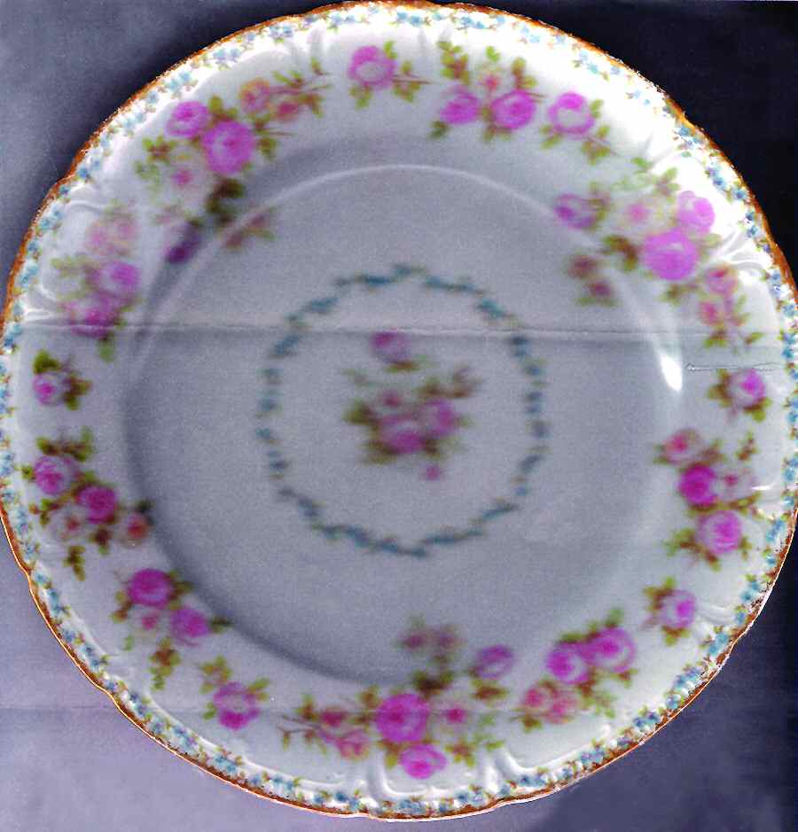 CHF1302 Salad Plate by Charles Field Haviland-1