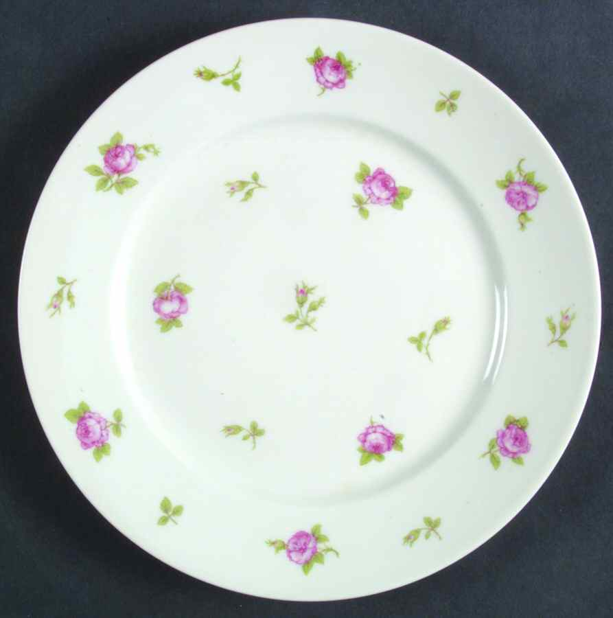 CHF1305 Salad Plate by Charles Field Haviland-1