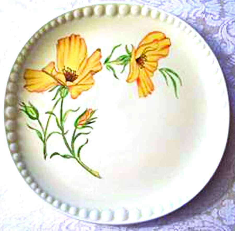 CRO308 Dinner Plate by Crooksville-1