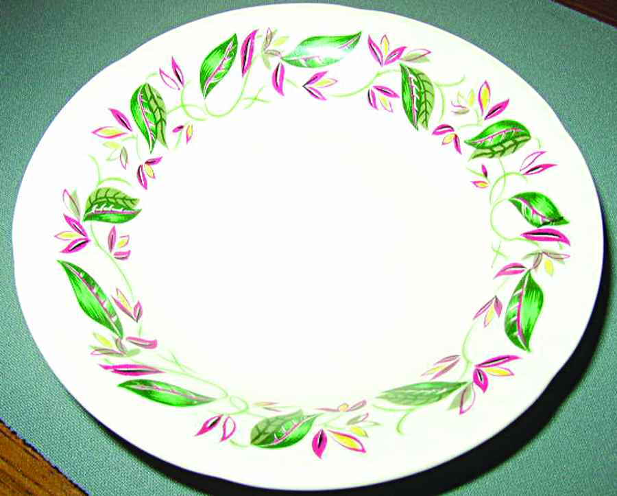 CRO309 Dinner Plate by Crooksville-1