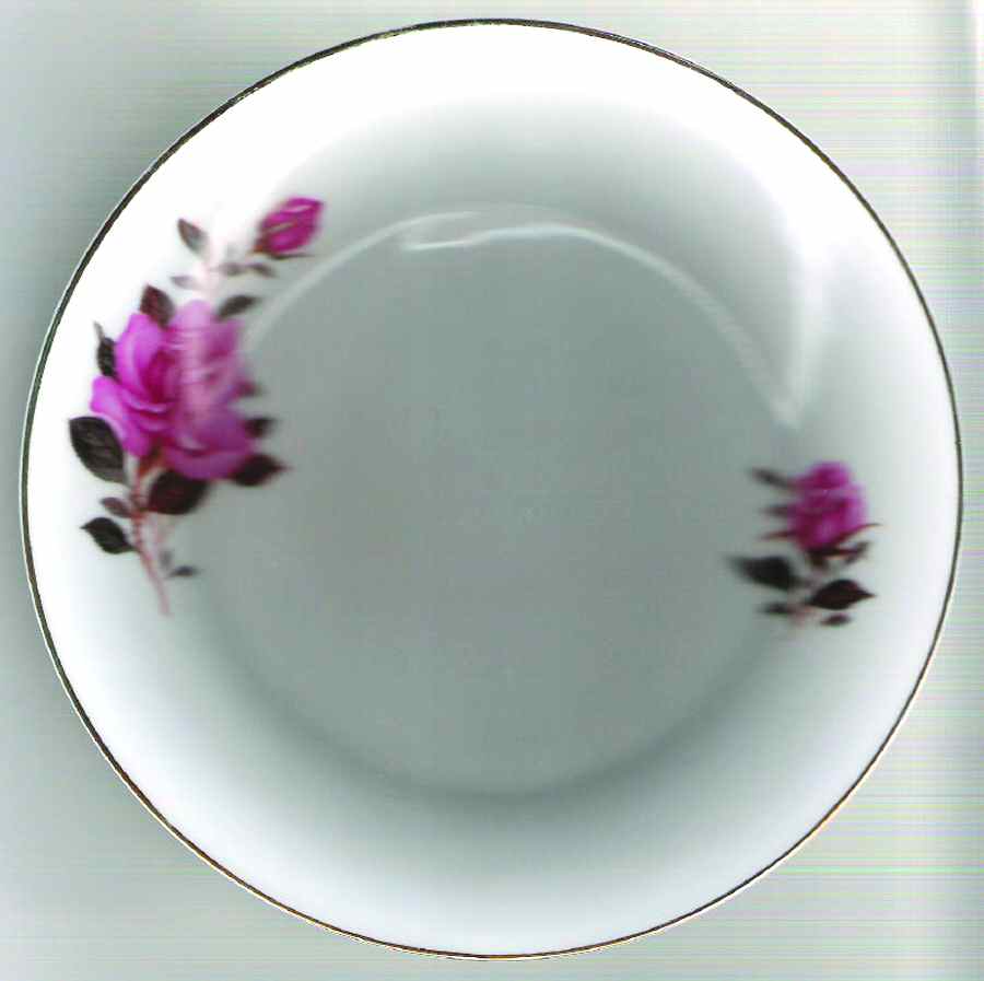 YSH12 Dinner Plate by Yong Sheng Porcelain-1