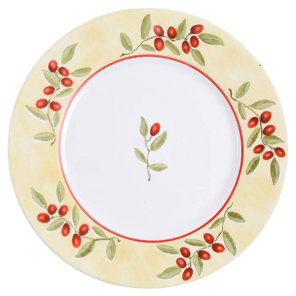 Radiance (Corelle) Dinner Plate by Corning Corelle-1