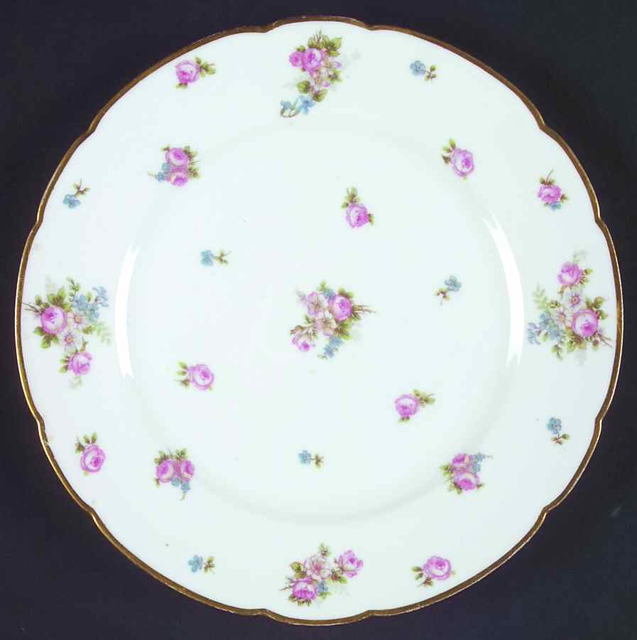 CHF1318 Luncheon Plate by Charles Field Haviland-1