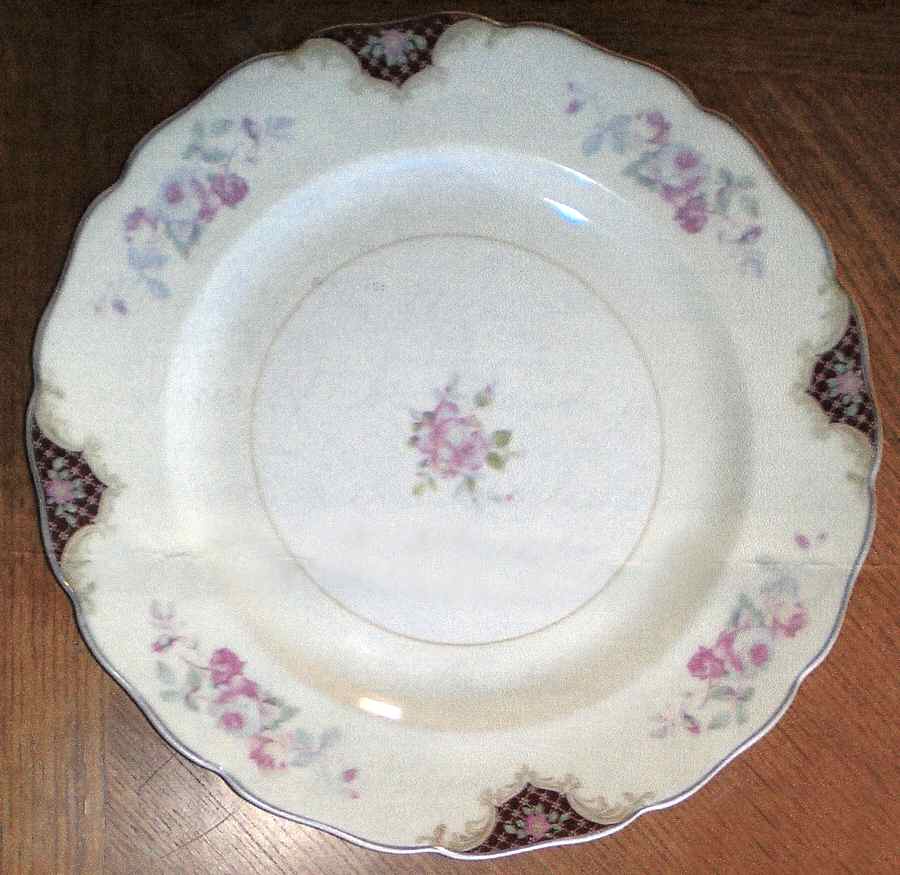 CAN197 Dinner Plate by Canonsburg-1