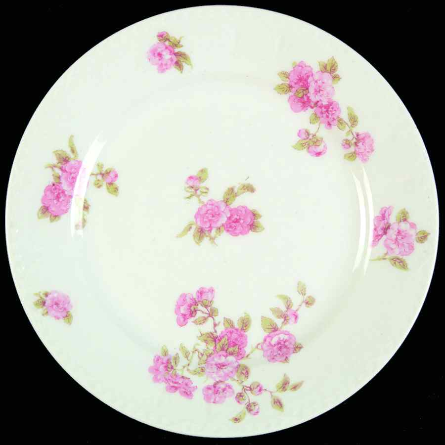 CHF1330 Salad Plate by Charles Field Haviland-1