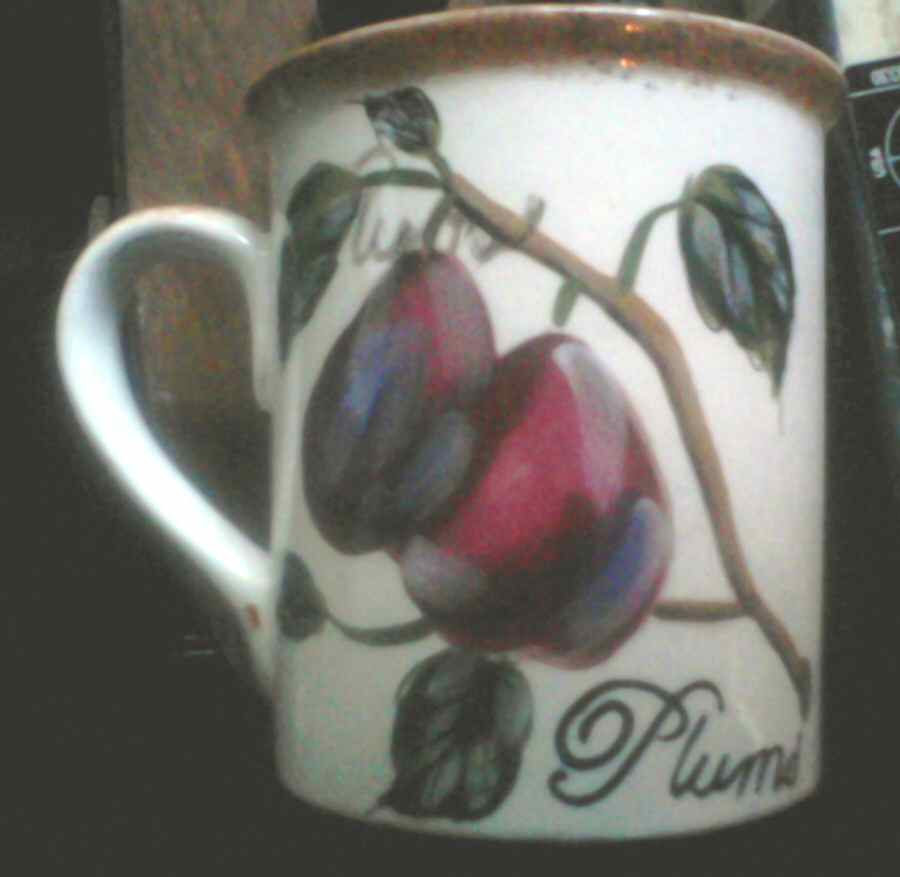 Arbor Mug by Certified International-1