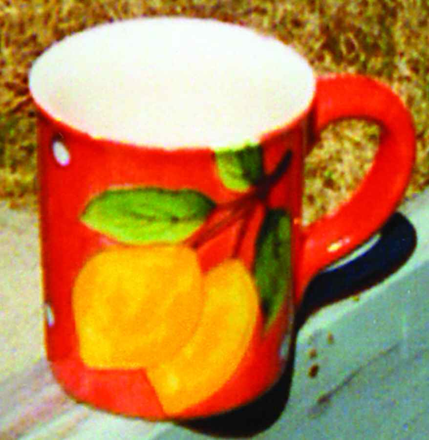 Fruit du Jour Mug by Cardinal Inc-1