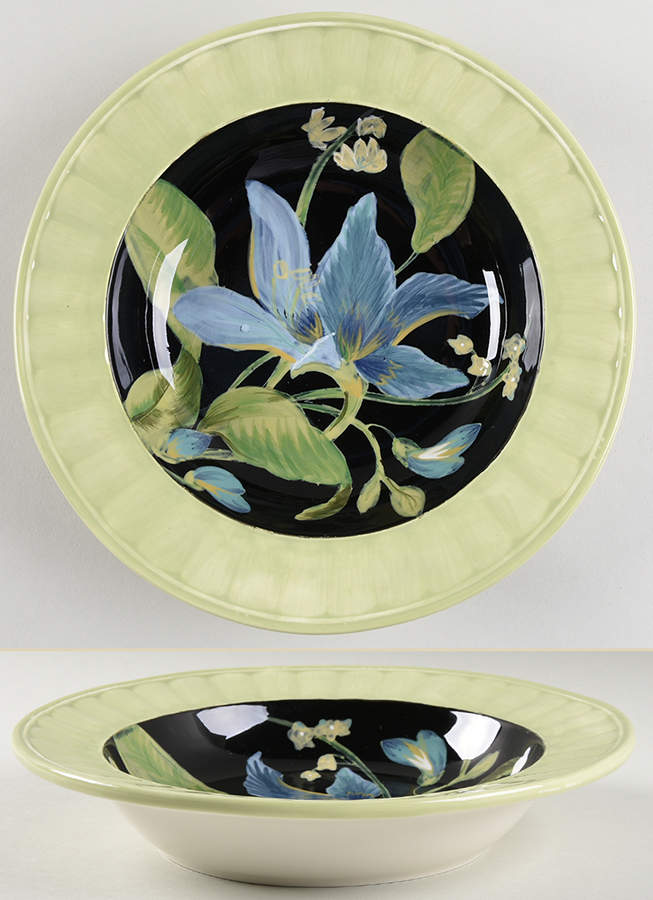 Tropique Large Rim Soup Bowl by Certified International-1