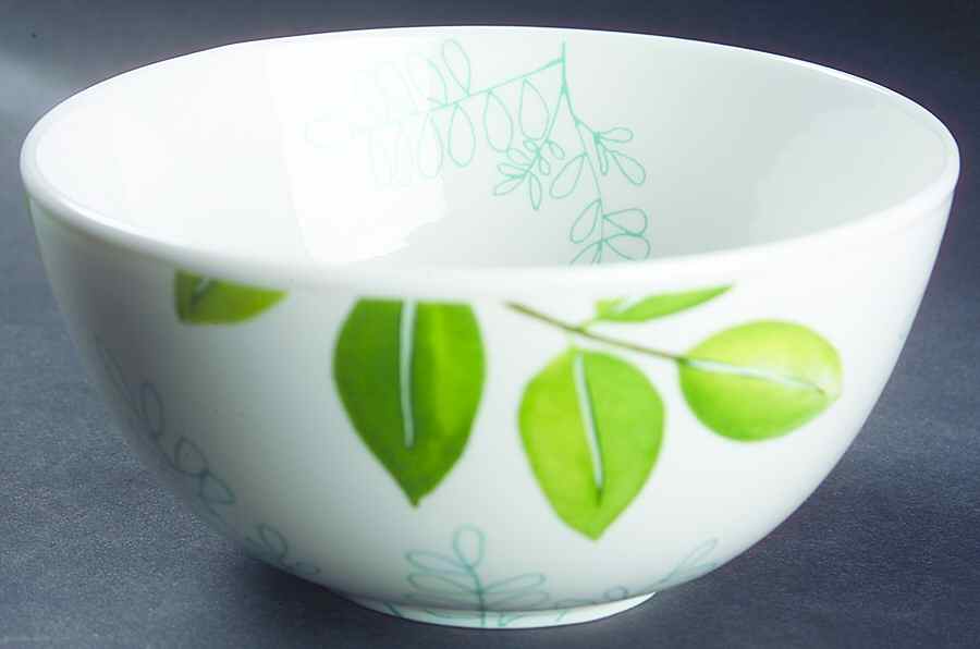 Laurel (Green, White&Pink) Soup/Cereal Bowl by The Cellar (China)-1