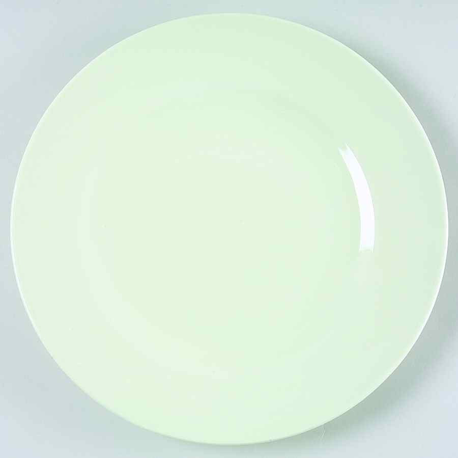Laurel (Green, White&Pink) Salad Plate by The Cellar (China)-1