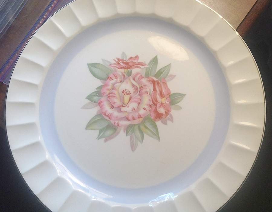COI85 Dinner Plate by Cronin-1