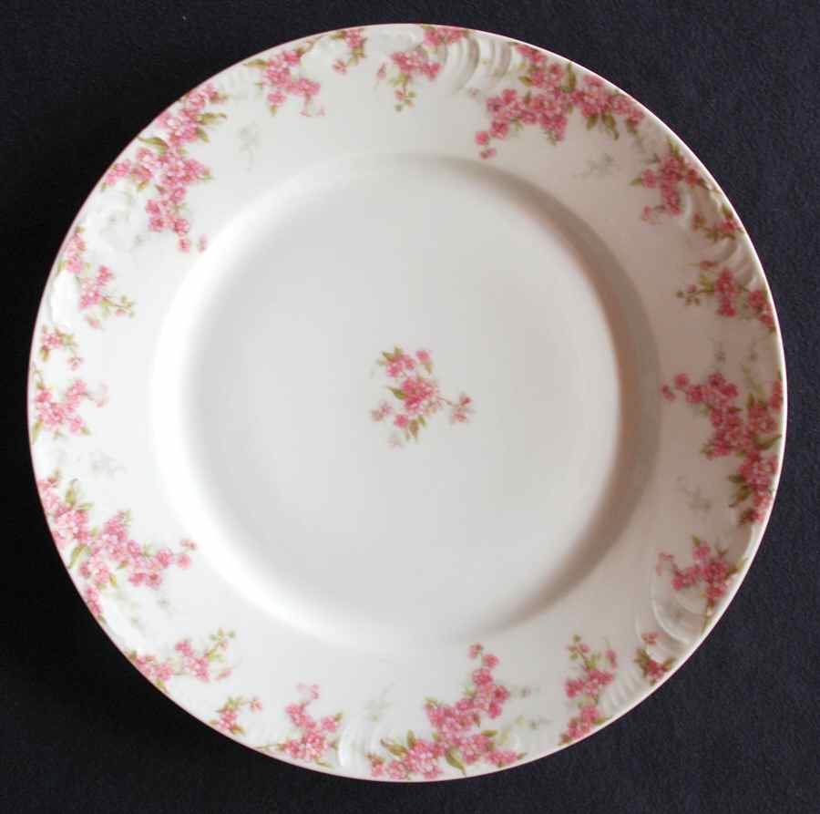 Schleiger 1289-1 Dinner Plate by Charles Field Haviland-1