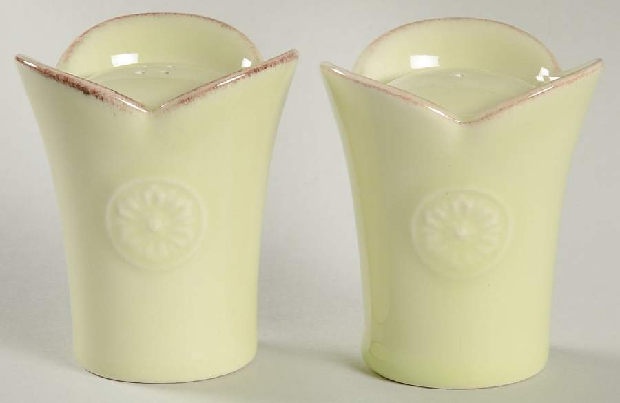 Meridian Sage Green Salt & Pepper Set by Casafina-1