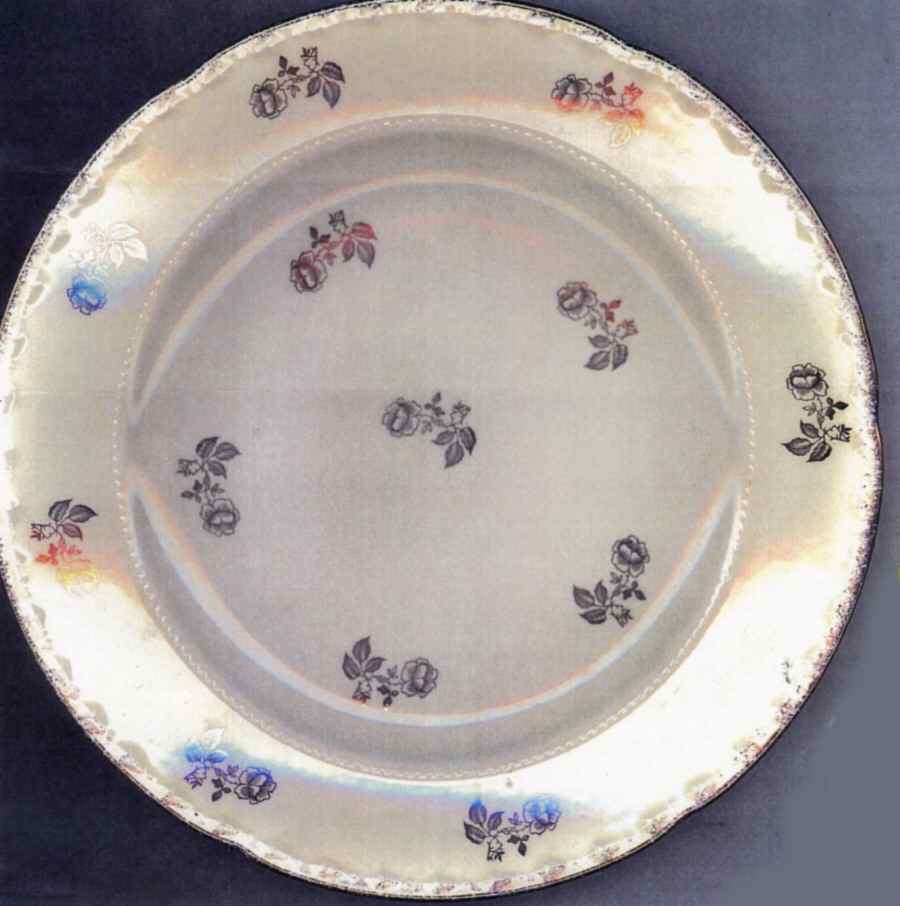 CRO314 Dinner Plate by Crooksville-1