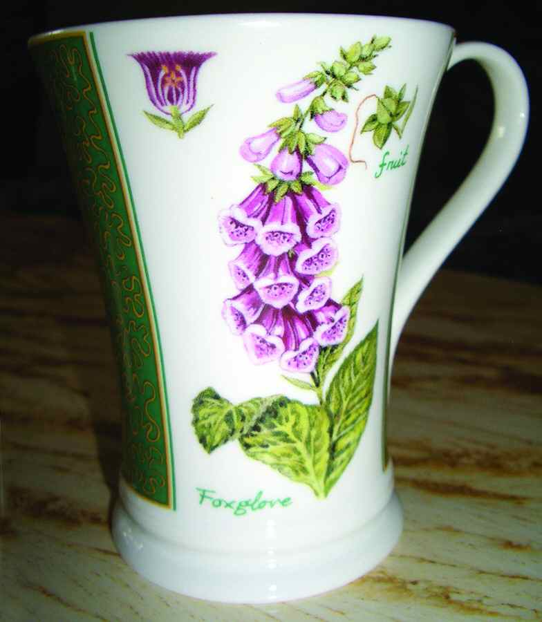 Various Mugs Only Mug by Crown Trent-1