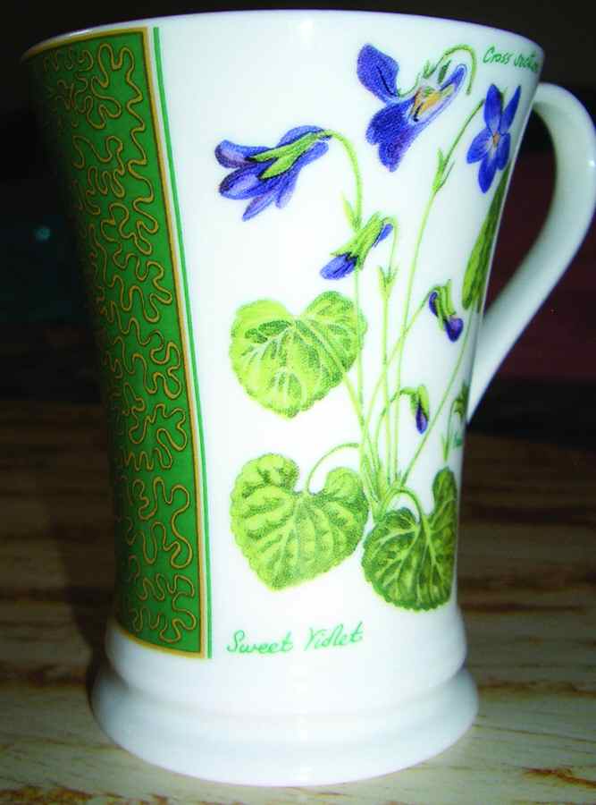 Various Mugs Only Mug by Crown Trent-1
