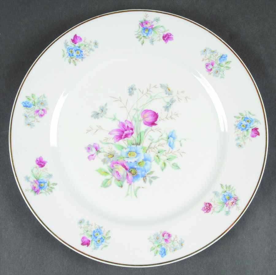 CHF1362 Dinner Plate by Charles Field Haviland-1