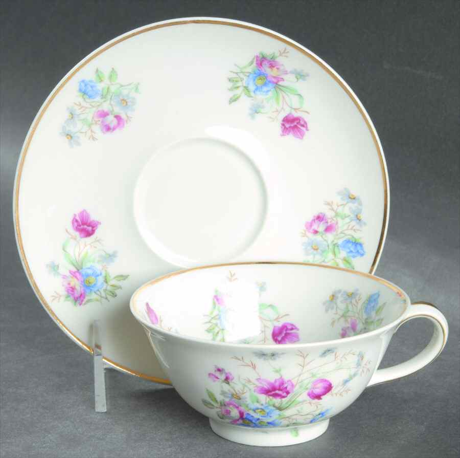 CHF1362 Flat Cup & Saucer Set by Charles Field Haviland-1