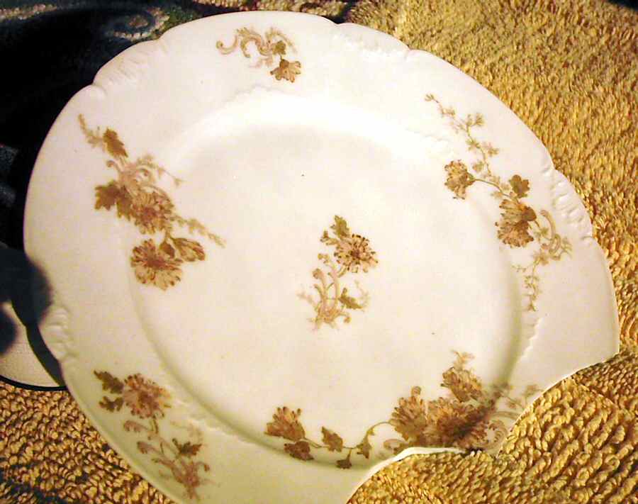 Schleiger 1302-2 Dinner Plate by Charles Field Haviland-1