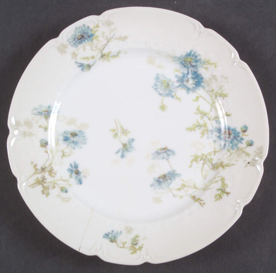 CHF1371 Salad Plate by Charles Field Haviland-1