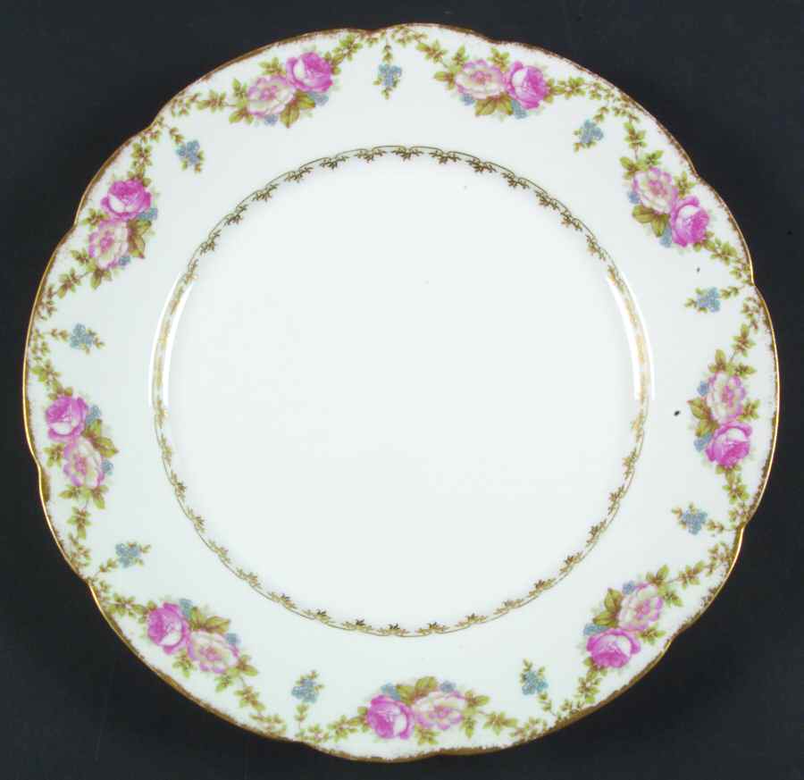 CHF1374 Dinner Plate by Charles Field Haviland-1