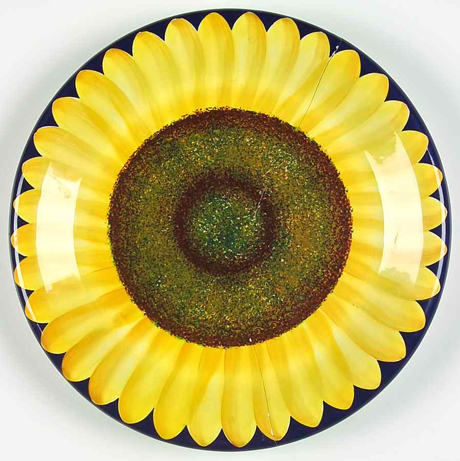 CXZ2 Dinner Plate by Carol Endres-1