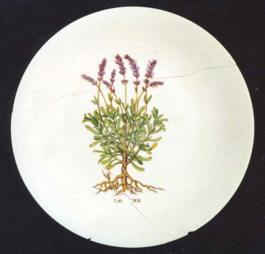 CNA2 Salad Plate by Compagnie Nationale-1