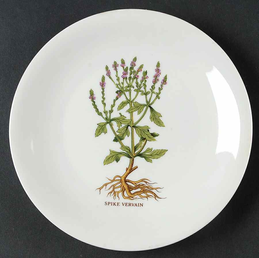 CNA2 Salad Plate by Compagnie Nationale-1