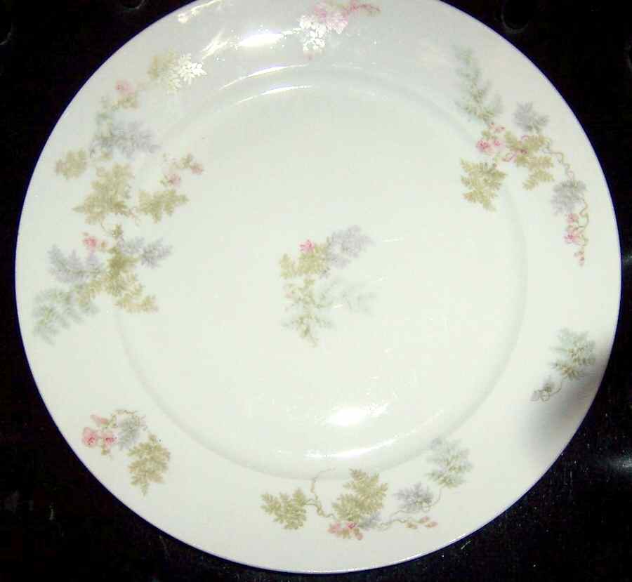Head 86 Dinner Plate by Charles Field Haviland-1