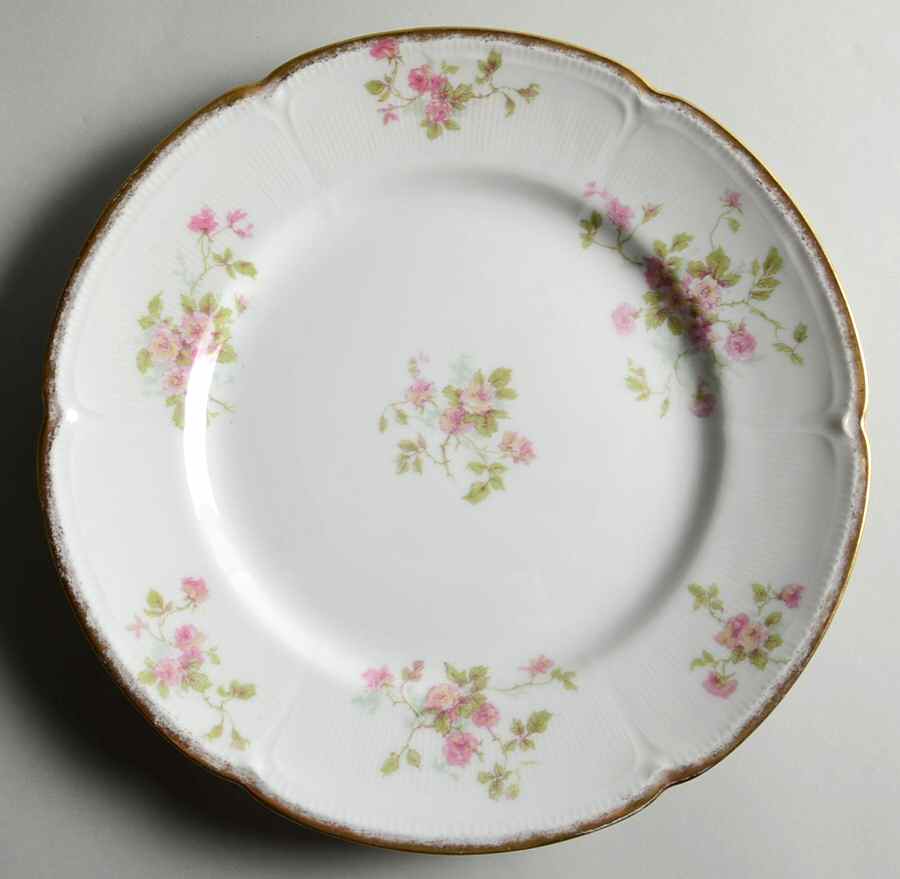 CHF1375 Dinner Plate by Charles Field Haviland-1