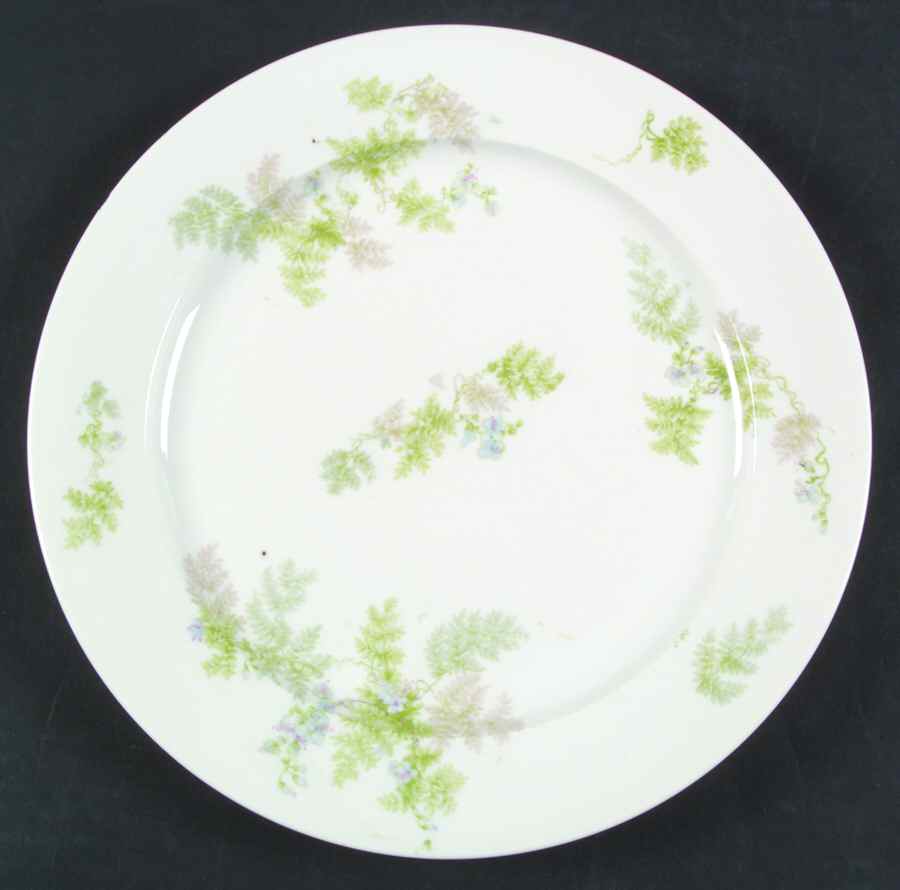 Head 86-3 Dinner Plate by Charles Field Haviland-1