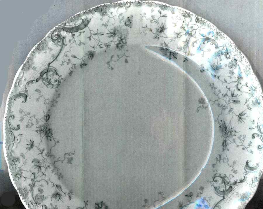 Vienna Dinner Plate by Clementson Bros-1
