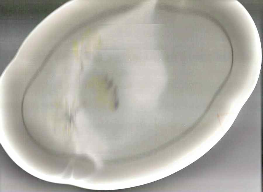 1245 14" Oval Serving Platter by Charles Field Haviland-1