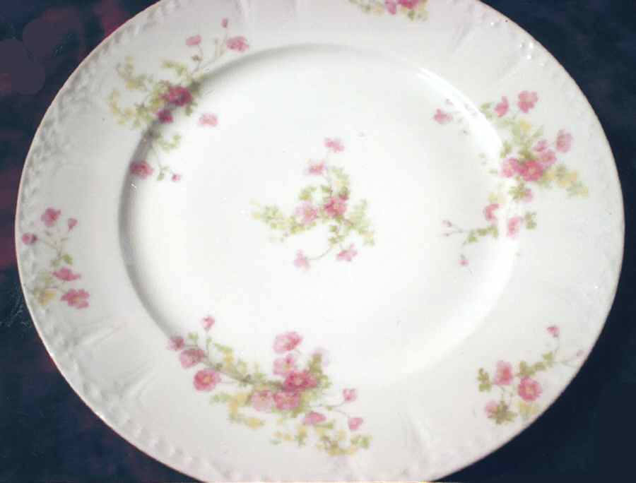 CHF1394 Dinner Plate by Charles Field Haviland-1