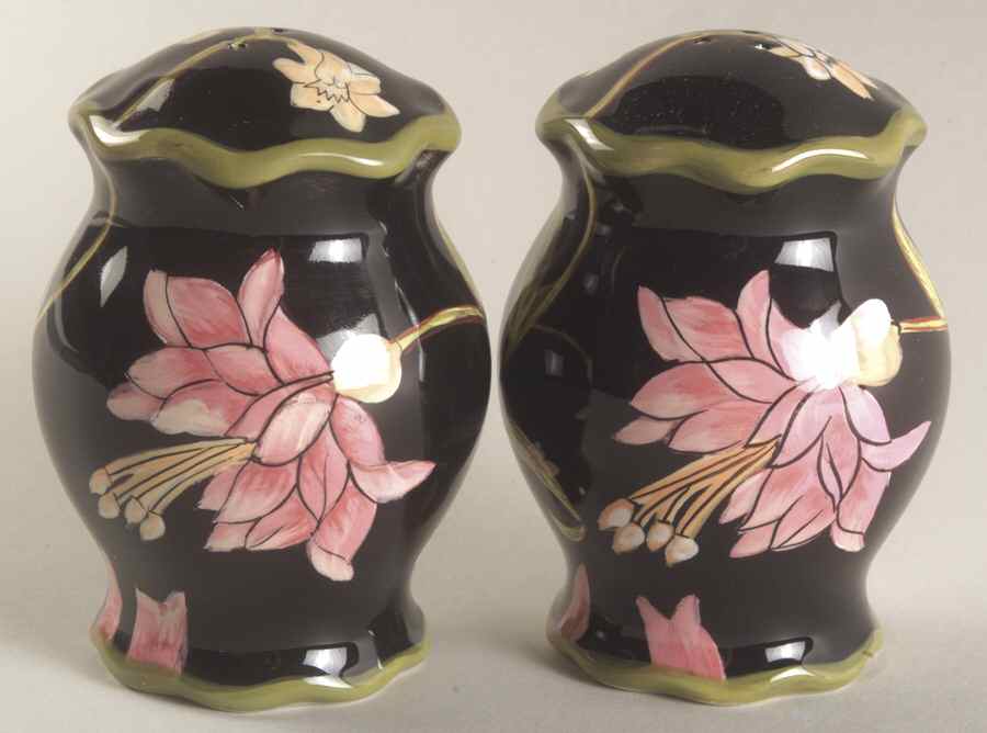 Ajmer Salt & Pepper Set by Certified International-1