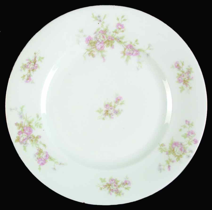 7872 Dinner Plate by Carlsbad-1