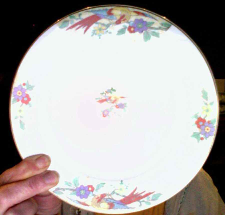 CAN211 Luncheon Plate by Canonsburg-1