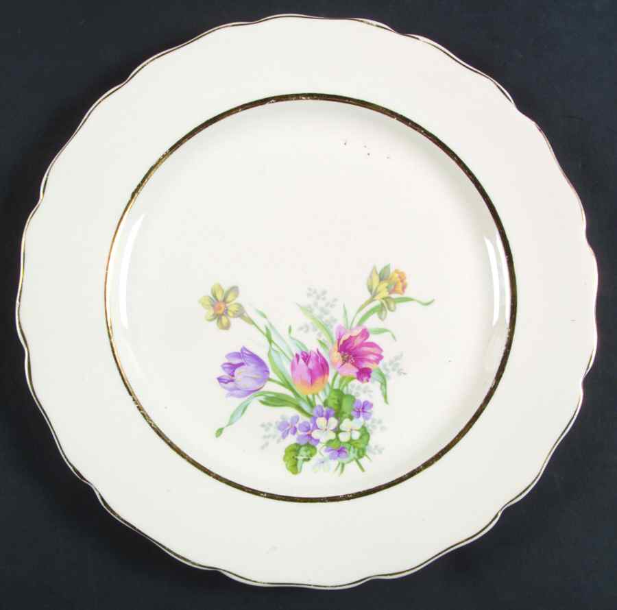 CAN212 Dinner Plate by Canonsburg-1
