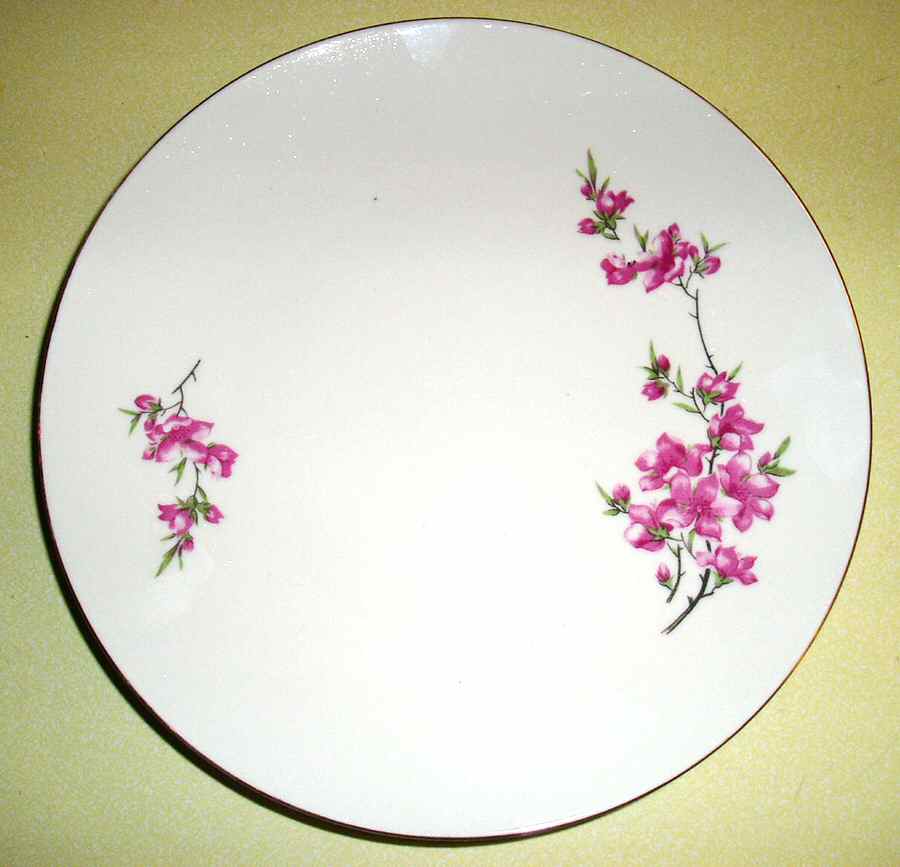 CX395 Dinner Plate by China (Made in China)-1