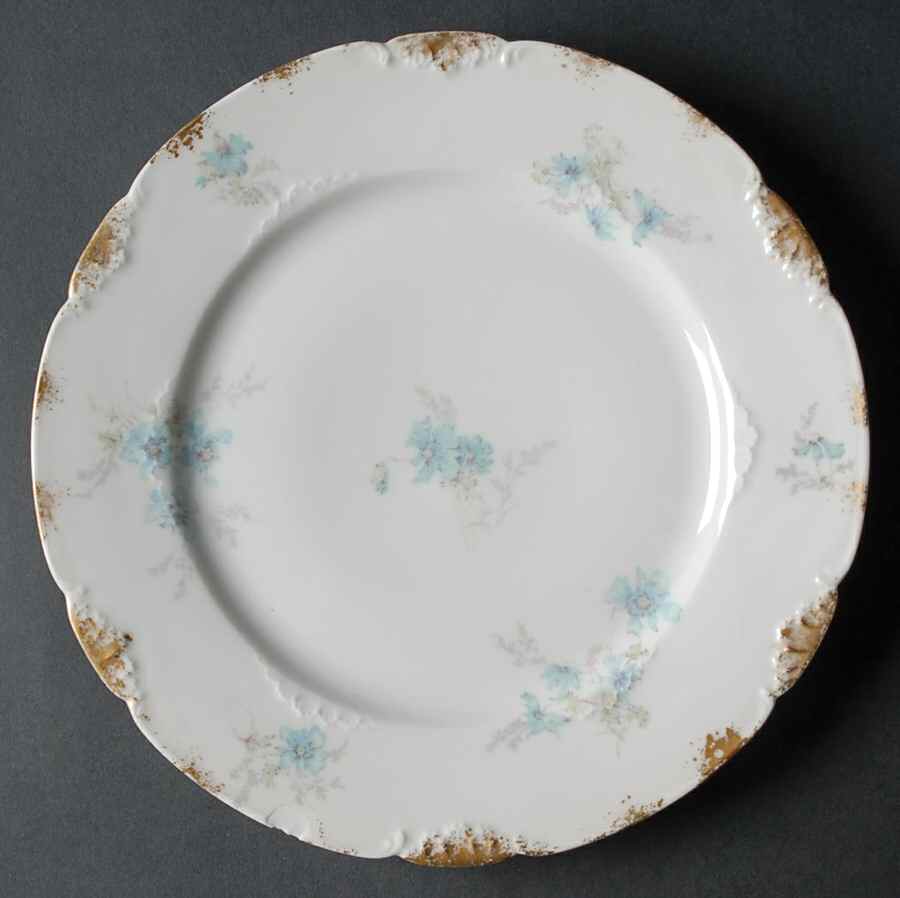 Head 71-2 Dinner Plate by Charles Field Haviland-1