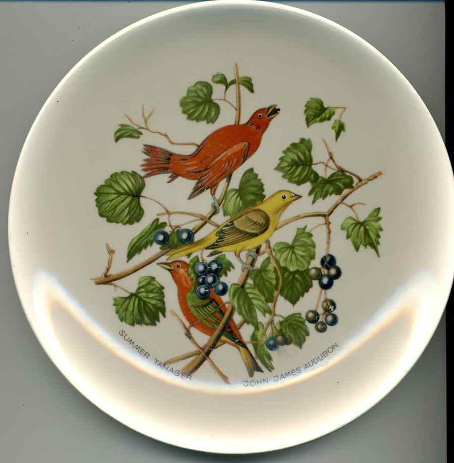 John James Audubon Salad Plate by Crown Potteries-1