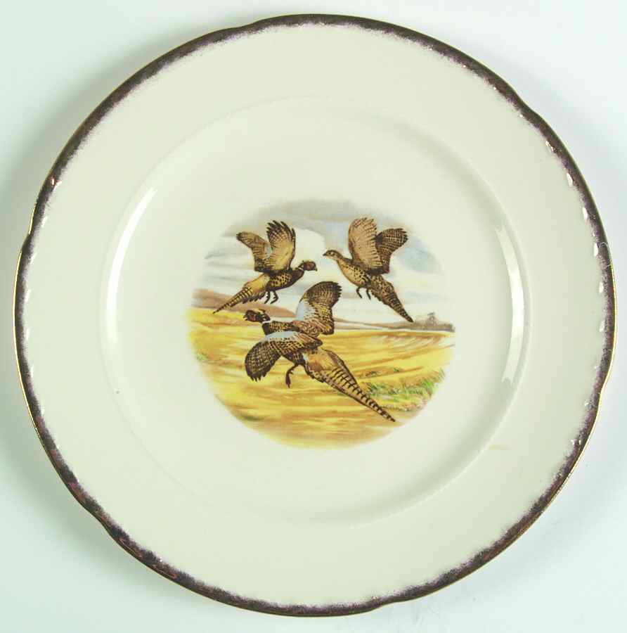 CRO324 Dinner Plate by Crooksville-1