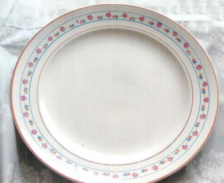 C360 Dinner Plate by Crooksville-1