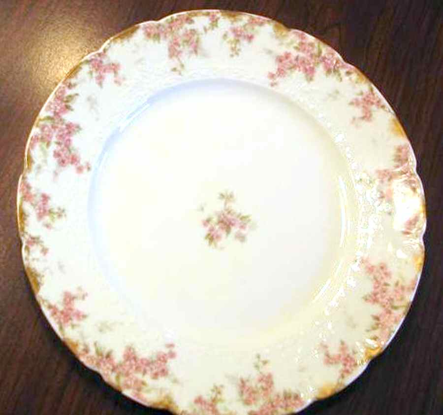 Schleiger 1289-5 Dinner Plate by Charles Field Haviland-1