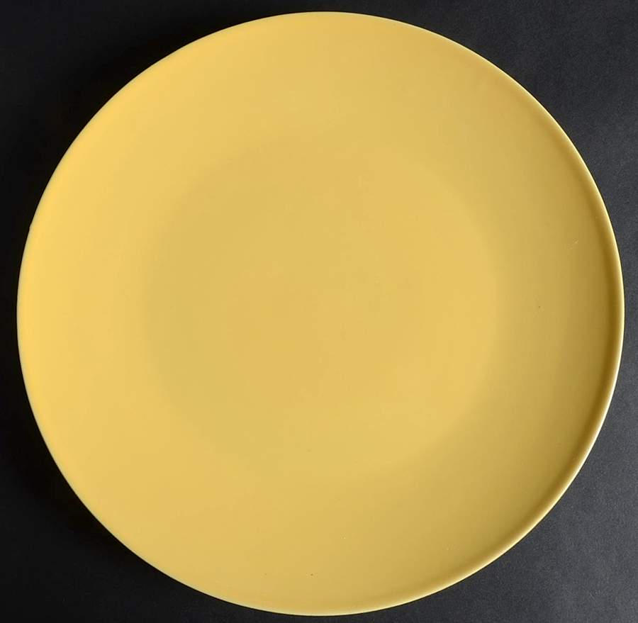 Caribbean Solids Dinner Plate by Costa Nova China-1
