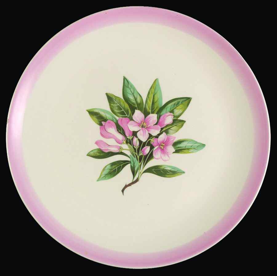 COI94 Luncheon Plate by Cronin-1