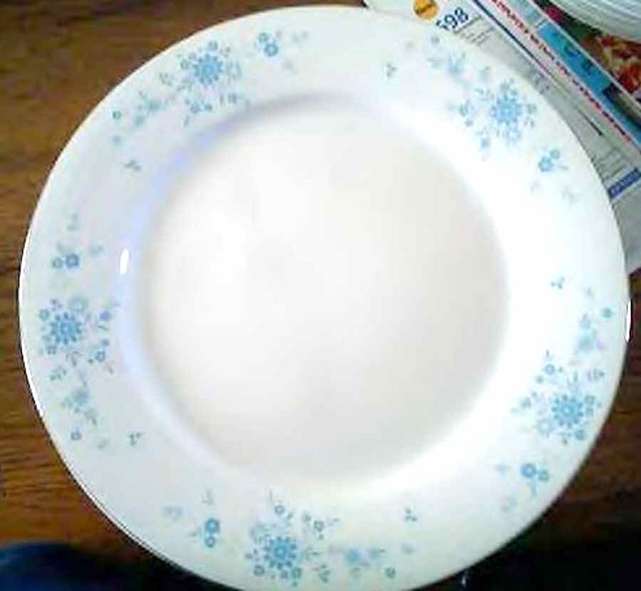 CX406 Dinner Plate by China (Made in China)-1