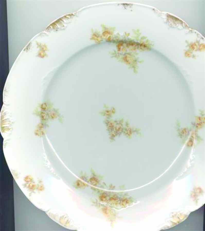 CHF1421 Dinner Plate by Charles Field Haviland-1